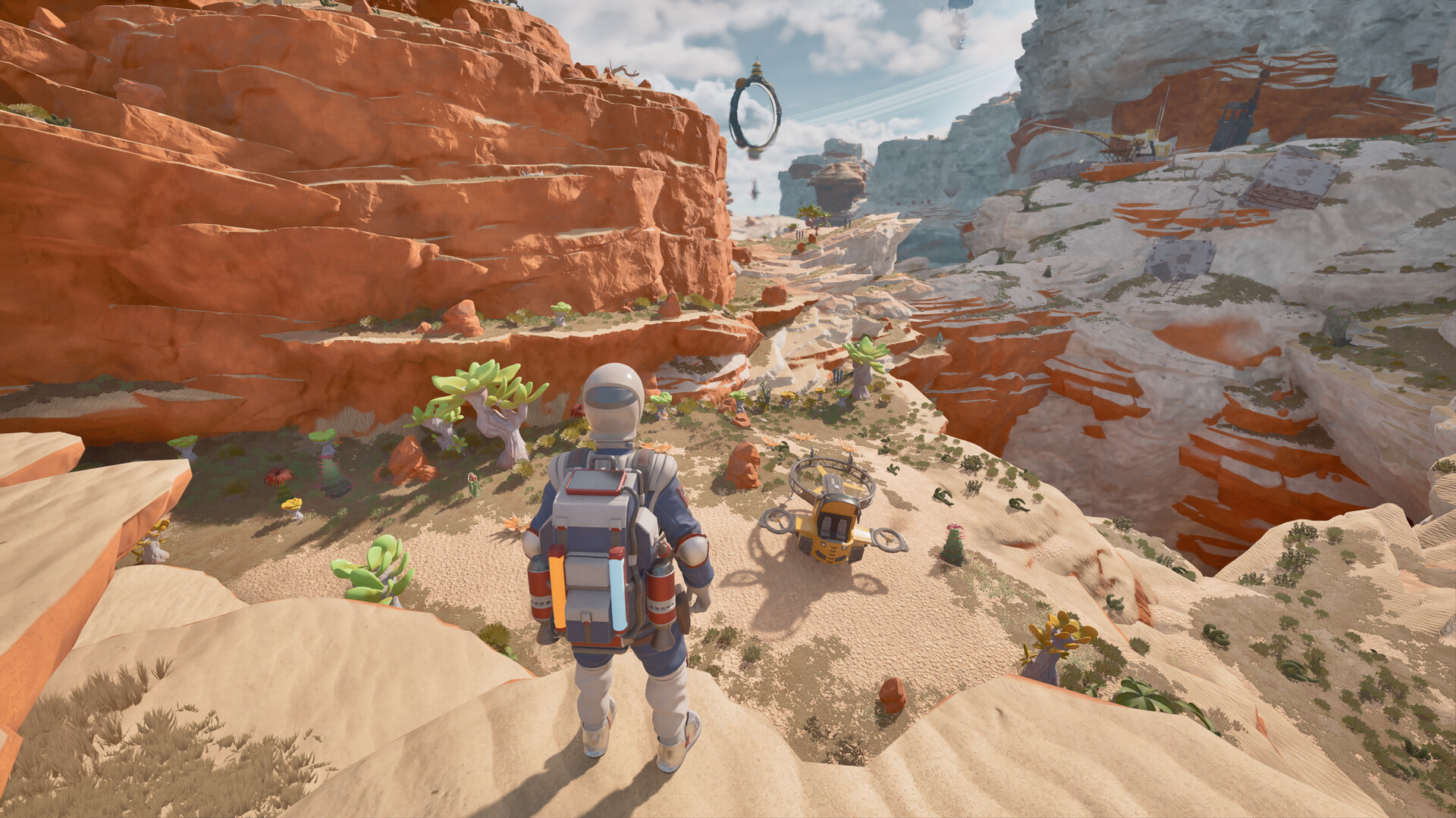 Colony Remains
